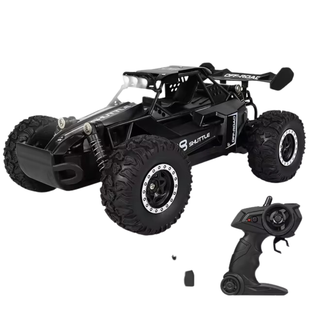 Novo RC Car 1:16 - 2WD com LED 2.4G 20KM/H