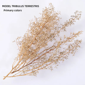 Simulação Árvore / Vegetação / Arbustos - 12-20 cm - Miniatura Tribulus - Diorama.